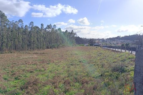 Helårsgrund i Barcelos, Braga, Barcelos - € 135.000 | Ref: 1811 - foto 4