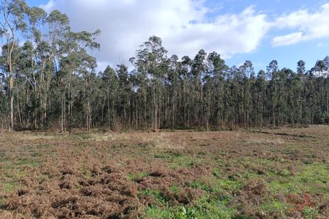 Helårsgrund i Barcelos, Braga, Barcelos - € 135.000 | Ref: 1811 - foto 5