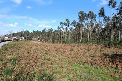 Helårsgrund i Barcelos, Braga, Barcelos - € 135.000 | Ref: 1811 - foto 6