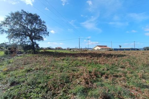 Helårsgrund i Barcelos, Braga, Barcelos - € 135.000 | Ref: 1811 - foto 7
