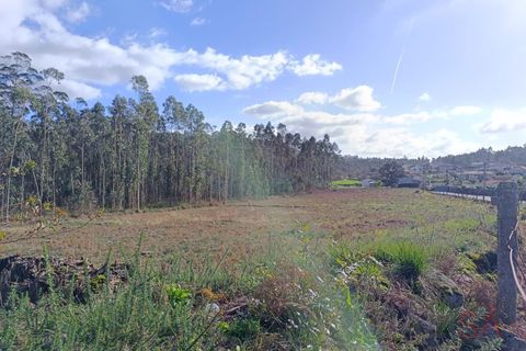Helårsgrund i Barcelos, Braga, Barcelos - € 135.000 | Ref: 1811 - foto 8