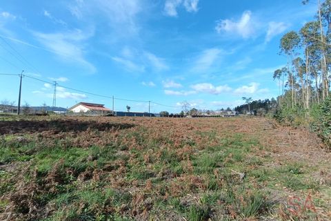 Helårsgrund i Barcelos, Braga, Barcelos - € 135.000 | Ref: 1811 - foto 9