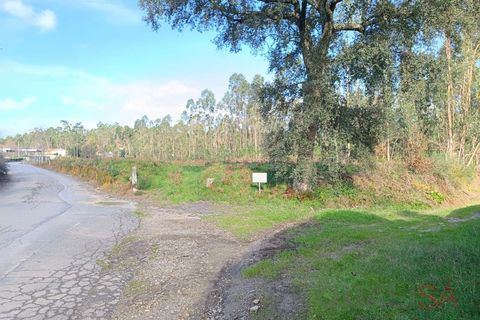 Helårsgrund i Barcelos, Braga, Barcelos - € 135.000 | Ref: 1811 - foto 11