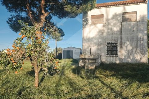 Villa a Samora Correia, Santarem, Samora Correia - € 225.000 | Ref: 542.028 - foto 3