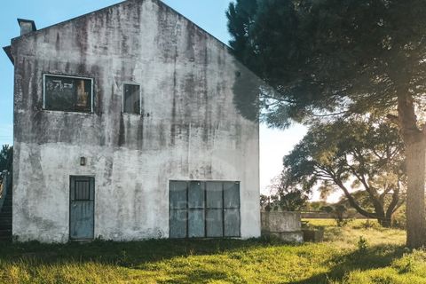 Villa a Samora Correia, Santarem, Samora Correia - € 225.000 | Ref: 542.028 - foto 6