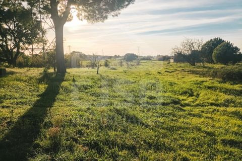 Villa a Samora Correia, Santarem, Samora Correia - € 225.000 | Ref: 542.028 - foto 24