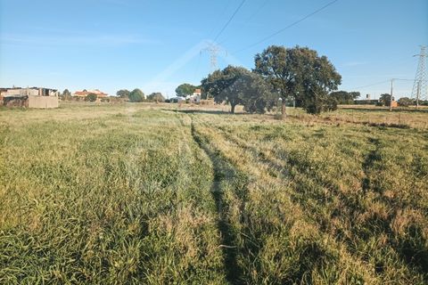 Villa a Samora Correia, Santarem, Samora Correia - € 225.000 | Ref: 542.028 - foto 26