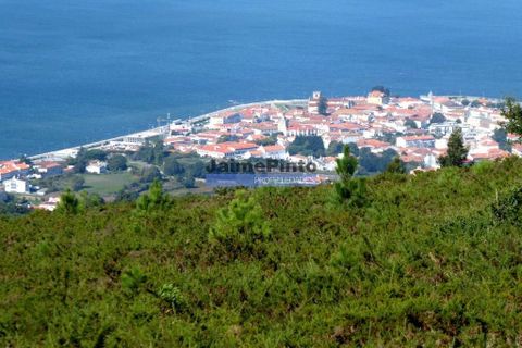 Rækkehus i Caminha, Viana do Castelo, Caminha - € 320.000 | Ref: 9735_M - foto 1