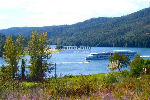 Helårsgrund i Gondomar, Porto, Gondomar - € 18.000.000 | Ref: 9644_M - foto 2