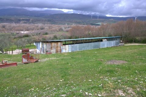 Villa a Serre, Salerno, Serre - € 155.000 | Ref: 146 - foto 3