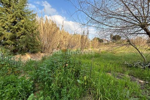 Helårsgrund i Tomar, Santarem, Tomar - € 45.000 | Ref: 01125-24 - foto 10