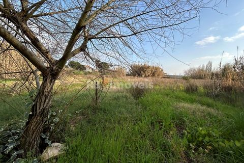 Helårsgrund i Tomar, Santarem, Tomar - € 45.000 | Ref: 01125-24 - foto 9