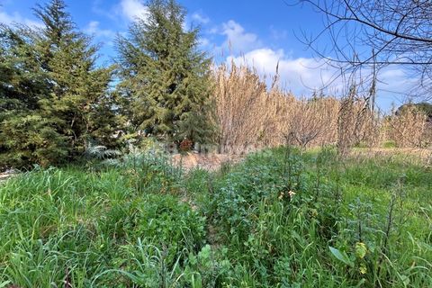 Helårsgrund i Tomar, Santarem, Tomar - € 45.000 | Ref: 01125-24 - foto 11
