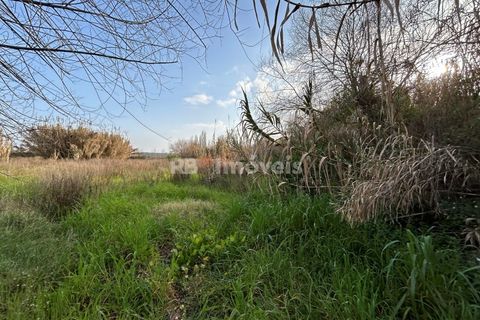 Helårsgrund i Tomar, Santarem, Tomar - € 45.000 | Ref: 01125-24 - foto 2