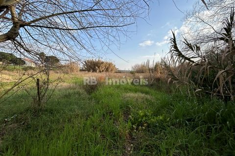 Helårsgrund i Tomar, Santarem, Tomar - € 45.000 | Ref: 01125-24 - foto 1
