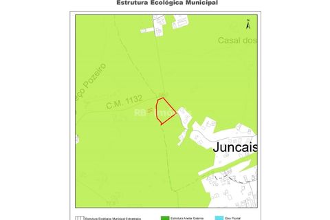 Helårsgrund i Tomar, Santarem, Tomar - € 45.000 | Ref: 01125-24 - foto 6