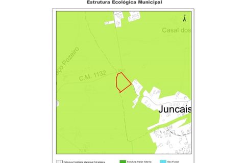 Helårsgrund i Tomar, Santarem, Tomar - € 45.000 | Ref: 01125-24 - foto 13