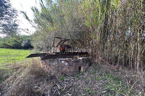 Helårsgrund i Tomar, Santarem, Tomar - € 34.000 | Ref: 01338-24 - foto 2