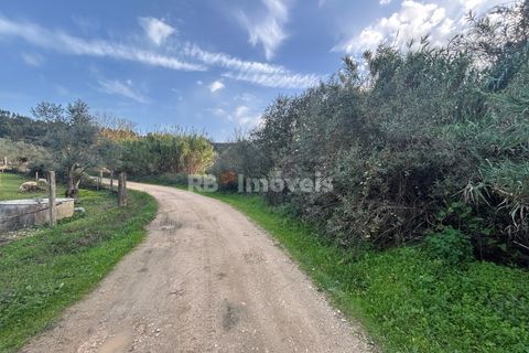 Helårsgrund i Tomar, Santarem, Tomar - € 34.000 | Ref: 01338-24 - foto 8