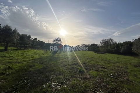 Helårsgrund i Tomar, Santarem, Tomar - € 34.000 | Ref: 01338-24 - foto 22