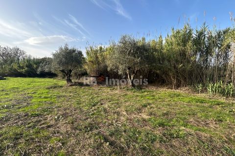 Helårsgrund i Tomar, Santarem, Tomar - € 34.000 | Ref: 01338-24 - foto 24