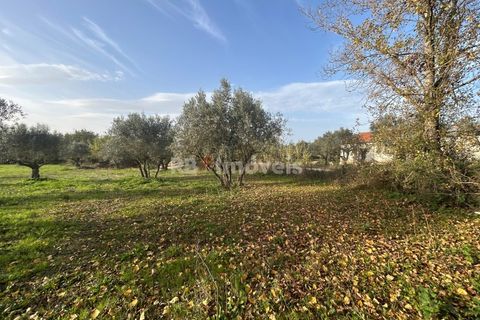 Helårsgrund i Tomar, Santarem, Tomar - € 34.000 | Ref: 01338-24 - foto 29