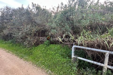 Helårsgrund i Tomar, Santarem, Tomar - € 34.000 | Ref: 01338-24 - foto 32