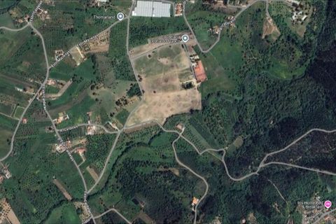 Helårsgrund i Tomar, Santarem, Tomar - € 34.000 | Ref: 01338-24 - foto 35