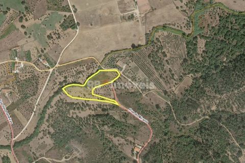 Helårsgrund i Tomar, Santarem, Tomar - € 34.000 | Ref: 01338-24 - foto 34