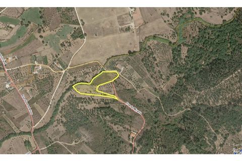 Helårsgrund i Tomar, Santarem, Tomar - € 34.000 | Ref: 01338-24 - foto 36