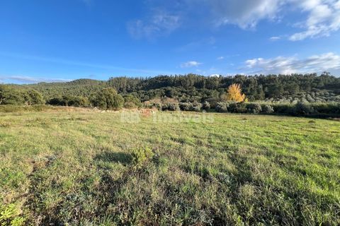 Helårsgrund i Tomar, Santarem, Tomar - € 49.000 | Ref: 01337-24 - foto 4