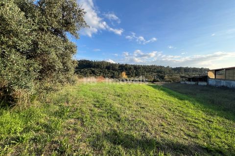Helårsgrund i Tomar, Santarem, Tomar - € 49.000 | Ref: 01337-24 - foto 5