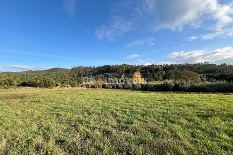 Helårsgrund i Tomar, Santarem, Tomar - € 49.000 | Ref: 01337-24 - foto 6