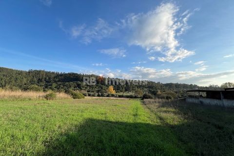 Helårsgrund i Tomar, Santarem, Tomar - € 49.000 | Ref: 01337-24 - foto 7