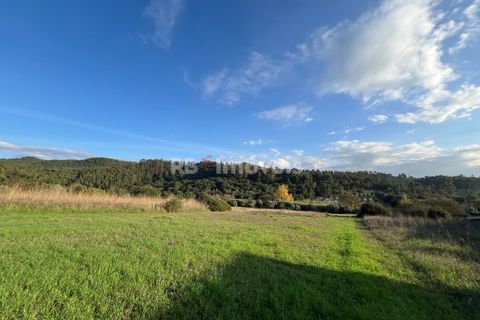 Helårsgrund i Tomar, Santarem, Tomar - € 49.000 | Ref: 01337-24 - foto 8