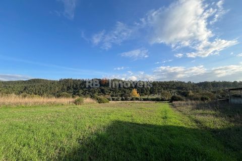 Helårsgrund i Tomar, Santarem, Tomar - € 49.000 | Ref: 01337-24 - foto 9