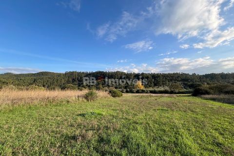 Helårsgrund i Tomar, Santarem, Tomar - € 49.000 | Ref: 01337-24 - foto 3