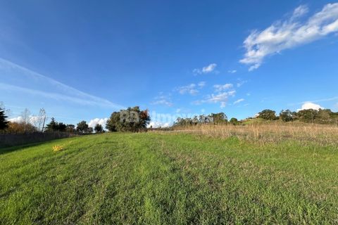 Helårsgrund i Tomar, Santarem, Tomar - € 49.000 | Ref: 01337-24 - foto 2