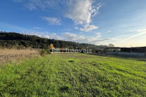 Helårsgrund i Tomar, Santarem, Tomar - € 49.000 | Ref: 01337-24 - foto 10