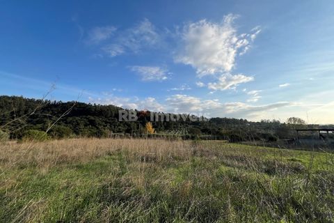 Helårsgrund i Tomar, Santarem, Tomar - € 49.000 | Ref: 01337-24 - foto 11