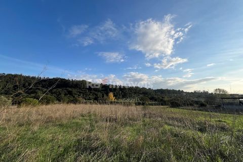 Helårsgrund i Tomar, Santarem, Tomar - € 49.000 | Ref: 01337-24 - foto 12