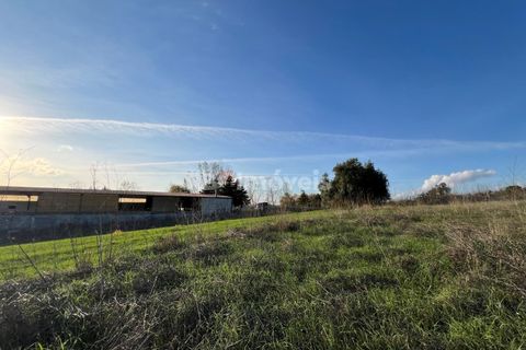 Helårsgrund i Tomar, Santarem, Tomar - € 49.000 | Ref: 01337-24 - foto 13