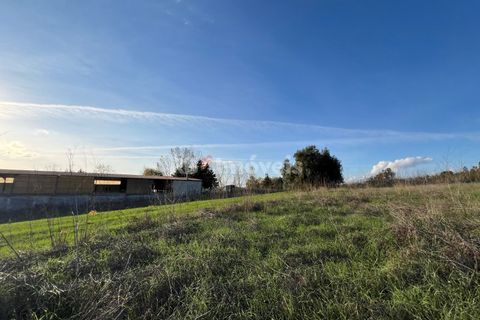 Helårsgrund i Tomar, Santarem, Tomar - € 49.000 | Ref: 01337-24 - foto 14
