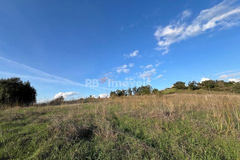 Helårsgrund i Tomar, Santarem, Tomar - € 49.000 | Ref: 01337-24 - foto 16
