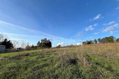 Helårsgrund i Tomar, Santarem, Tomar - € 49.000 | Ref: 01337-24 - foto 17