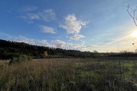 Helårsgrund i Tomar, Santarem, Tomar - € 49.000 | Ref: 01337-24 - foto 18