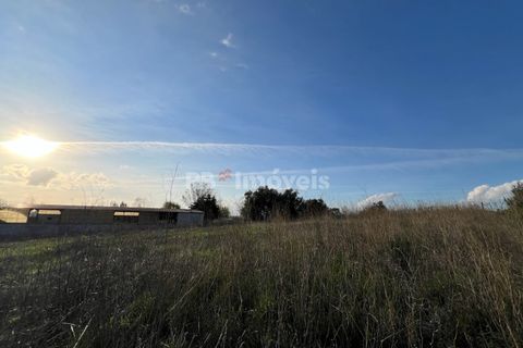 Helårsgrund i Tomar, Santarem, Tomar - € 49.000 | Ref: 01337-24 - foto 19