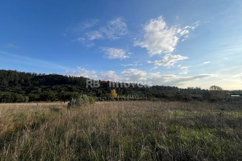 Helårsgrund i Tomar, Santarem, Tomar - € 49.000 | Ref: 01337-24 - foto 20