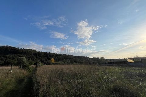 Helårsgrund i Tomar, Santarem, Tomar - € 49.000 | Ref: 01337-24 - foto 21