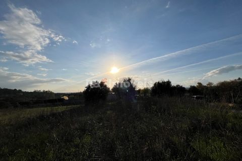 Helårsgrund i Tomar, Santarem, Tomar - € 49.000 | Ref: 01337-24 - foto 22